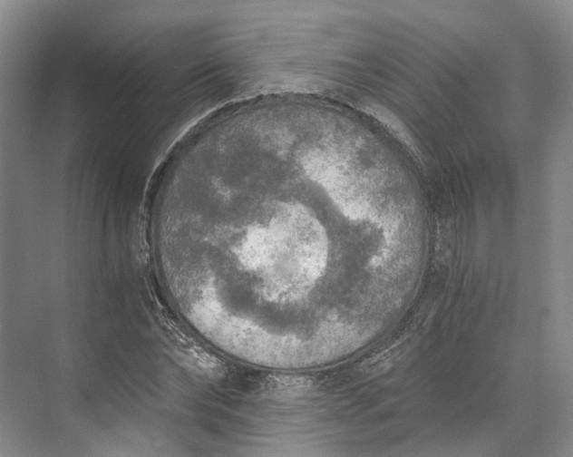 X0000072930878200608041213