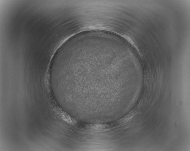 X0000072930879200608041213