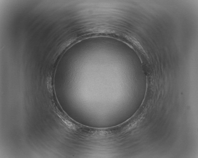 X0000072930881200608041213