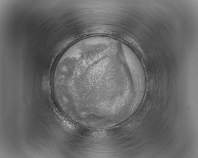 X0000072930882200608041213