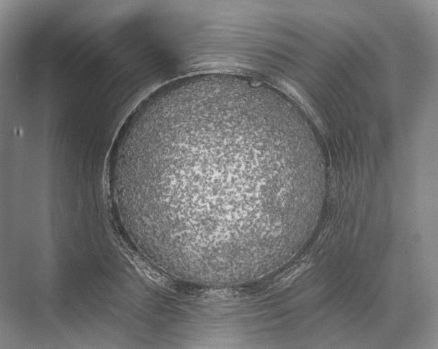 X0000072930883200608041213