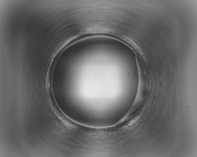 X0000072930885200608041213