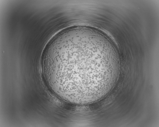 X0000072930887200608041213