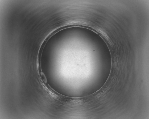 X0000072930888200608041213