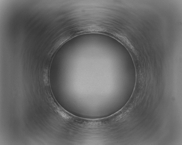 X0000072930889200608041213