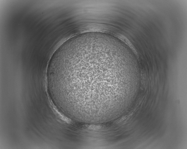 X0000072930890200608041213