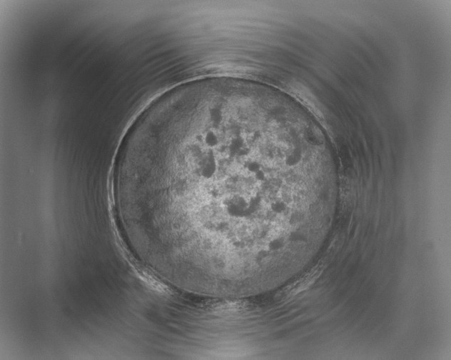 X0000072930891200608041213