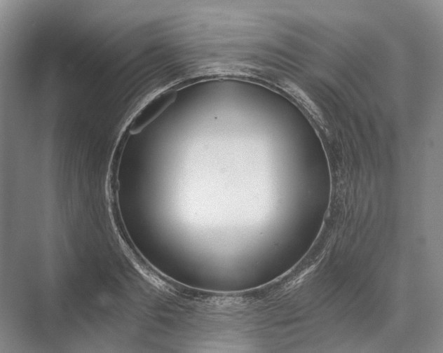 X0000072930893200608041213