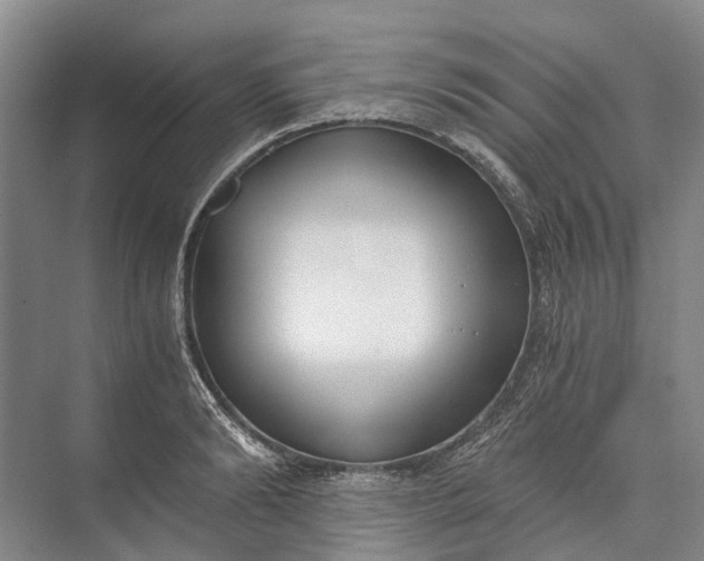 X0000072930894200608041213