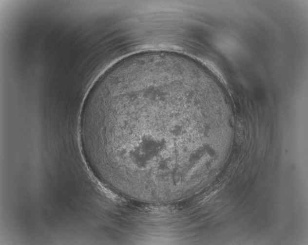 X0000072930895200608041213