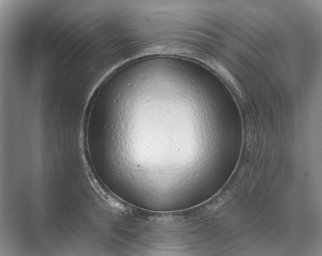 X0000072930896200608041213