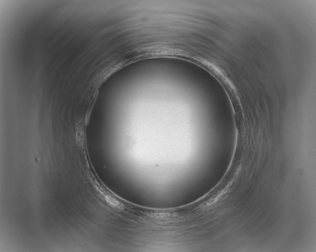 X0000072930897200608041213