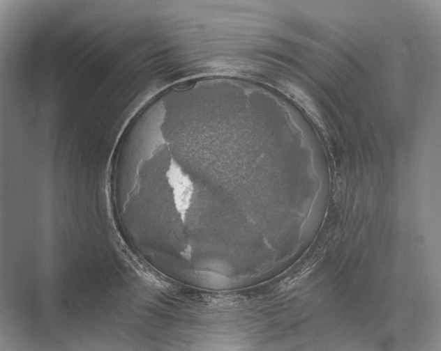 X0000072930899200608041213