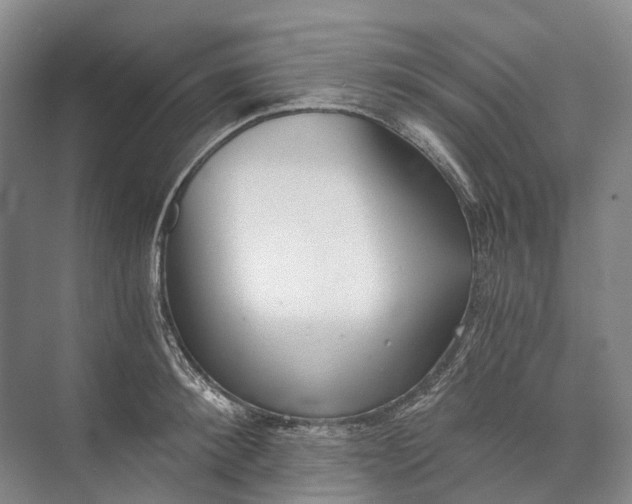 X0000072930900200608041213