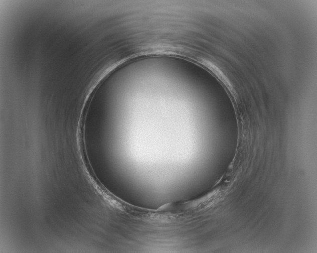 X0000072930901200608041213