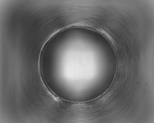 X0000072930902200608041213