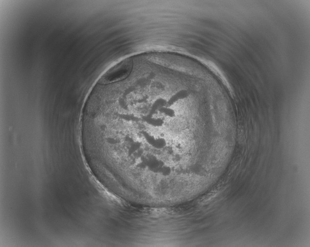 X0000072930903200608041213