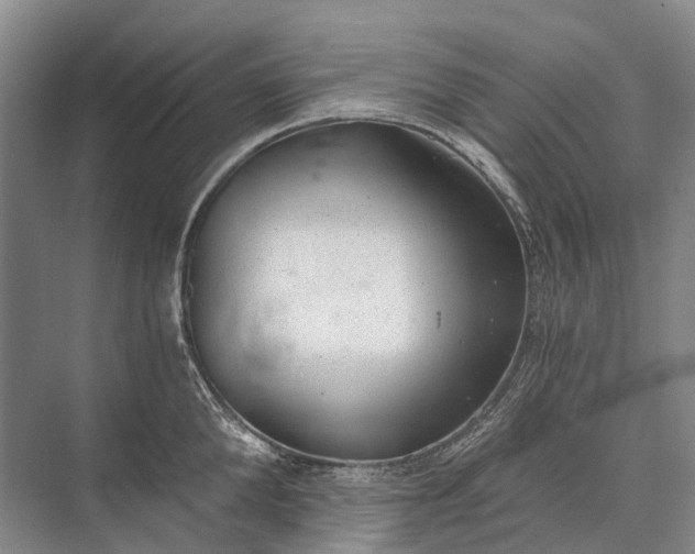 X0000072930904200608041213