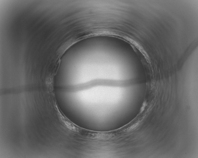 X0000072930905200608041213