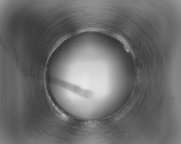 X0000072930906200608041213