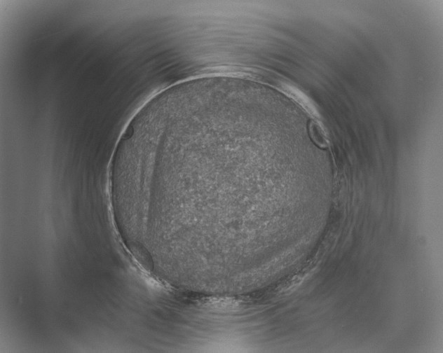 X0000072930907200608041213