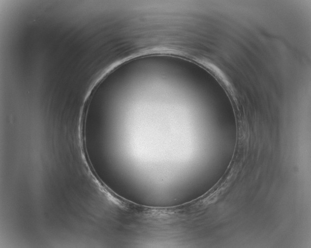 X0000072930910200608041213