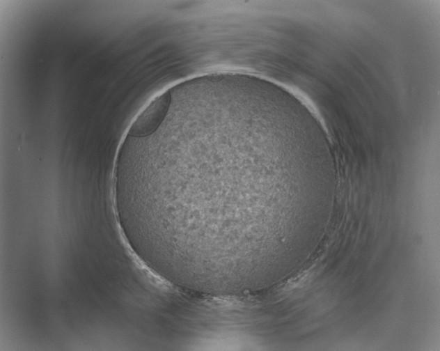 X0000072930911200608041213