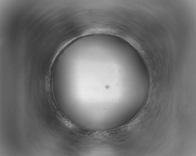 X0000072930912200608041213