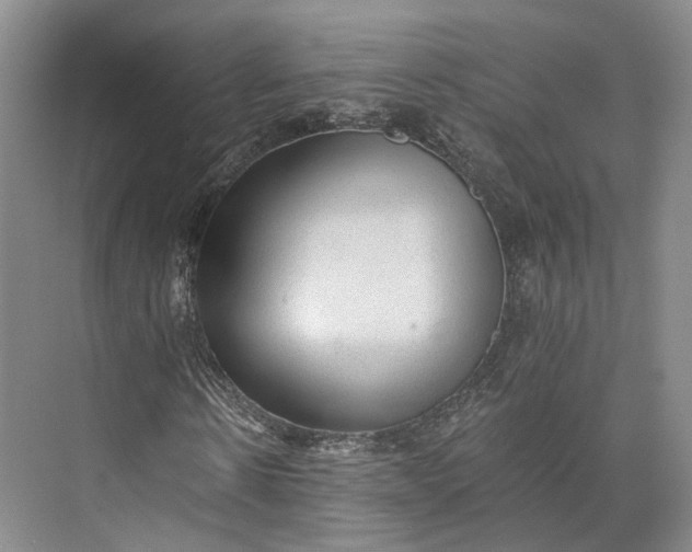 X0000072930914200608041212