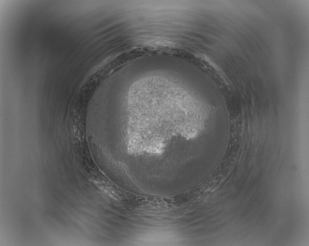 X0000072930919200608041212