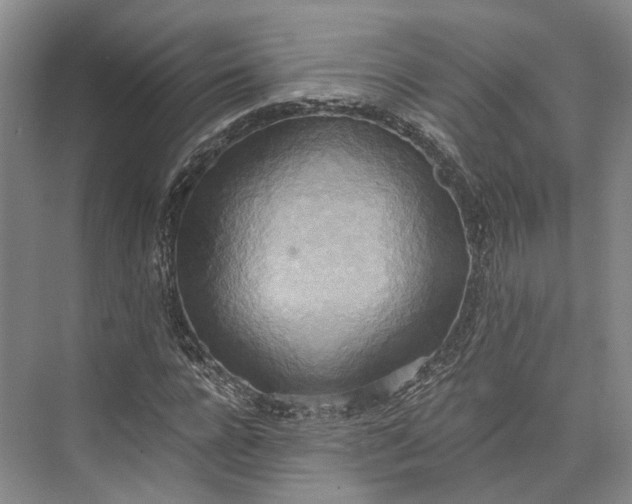 X0000072930920200608041212