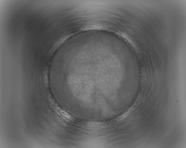 X0000072930921200608041212