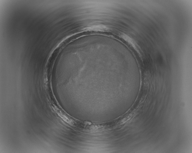 X0000072930923200608041212