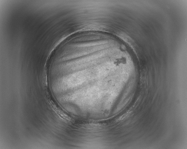 X0000072930925200608041212