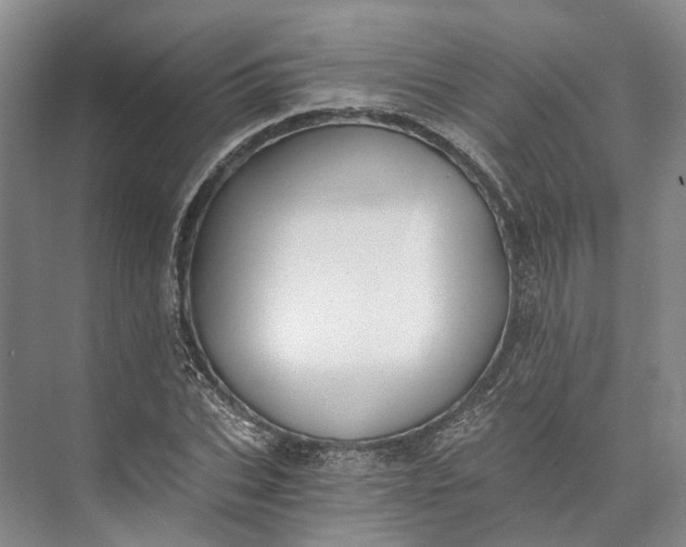 X0000072930927200608041212