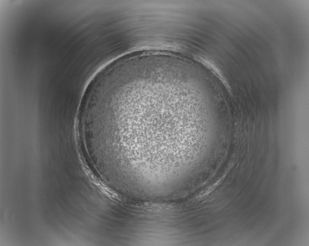 X0000072930928200608041212