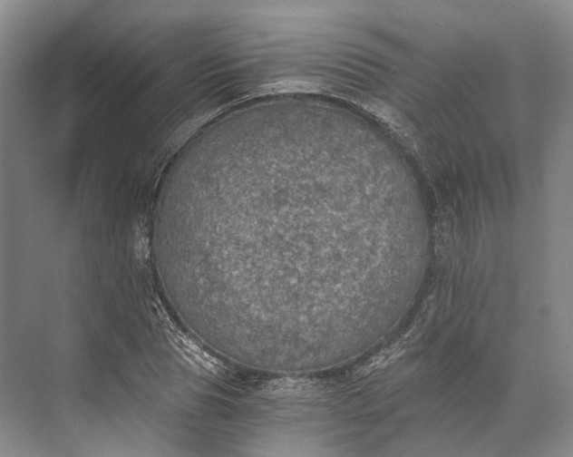 X0000072930929200608041212