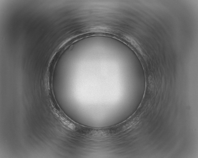 X0000072930931200608041212