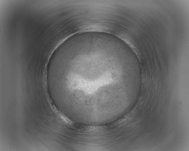 X0000072930933200608041212