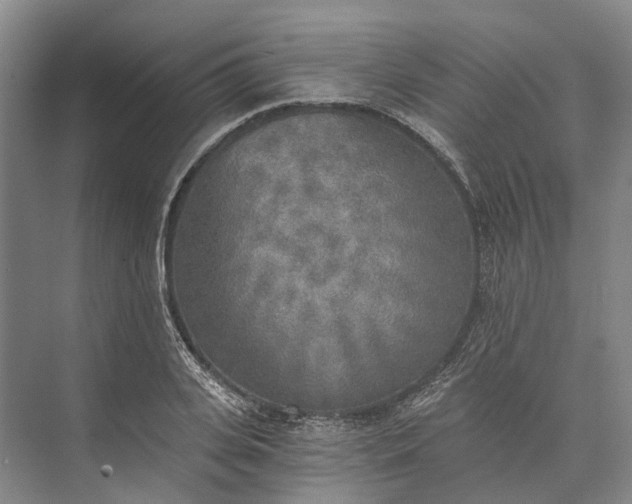 X0000072930935200608041212