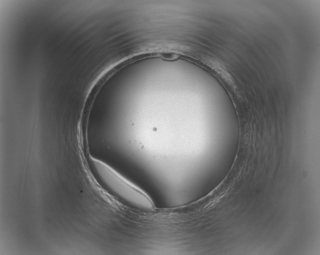 X0000072930936200608041212