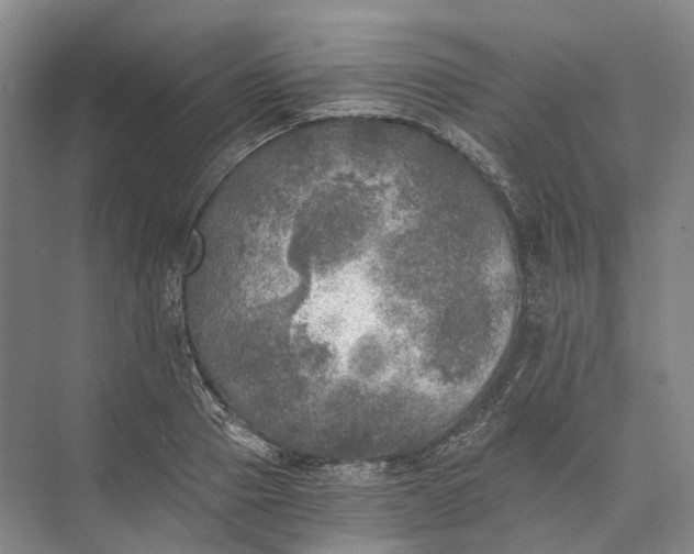 X0000072930937200608041212