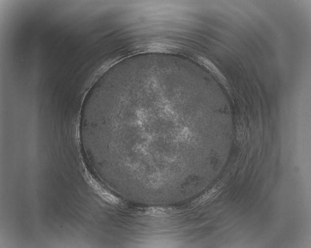 X0000072930938200608041212