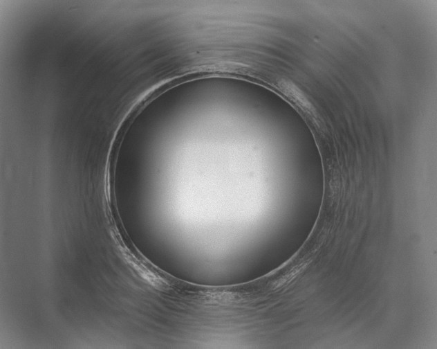 X0000072930940200608041212