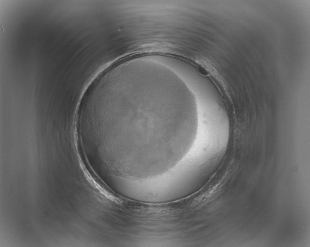 X0000072930941200608041212