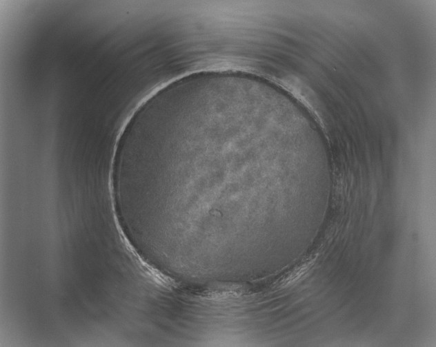 X0000072930943200608041212