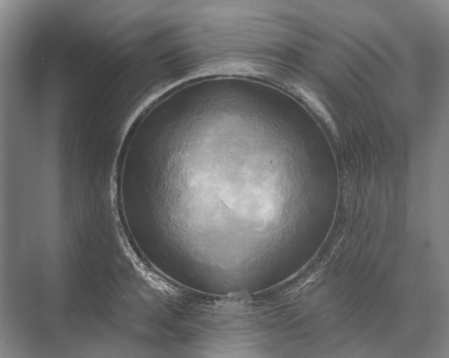 X0000072930944200608041212