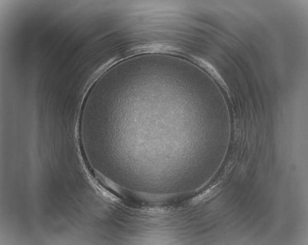 X0000072930946200608041212