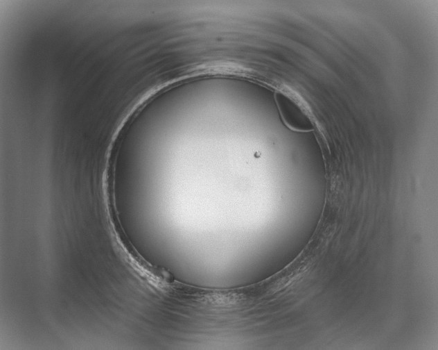 X0000072930947200608041212