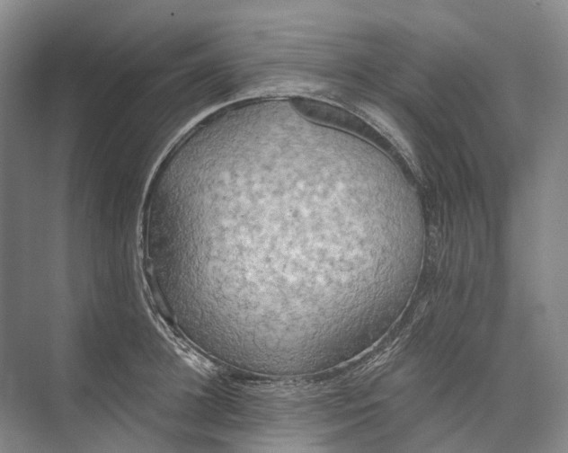 X0000072930948200608041212